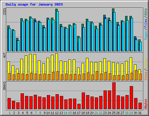 Daily usage for January 2023