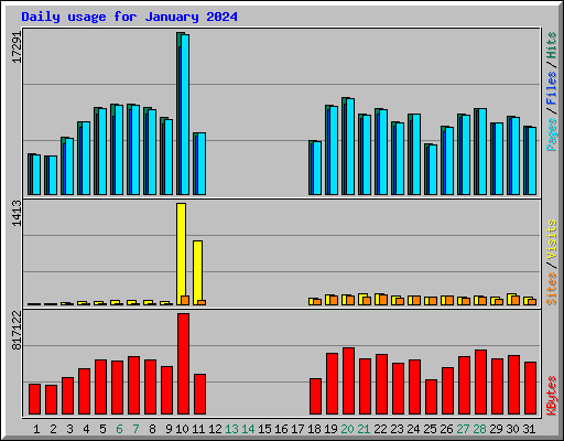 Daily usage for January 2024