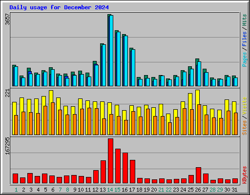 Daily usage for December 2024