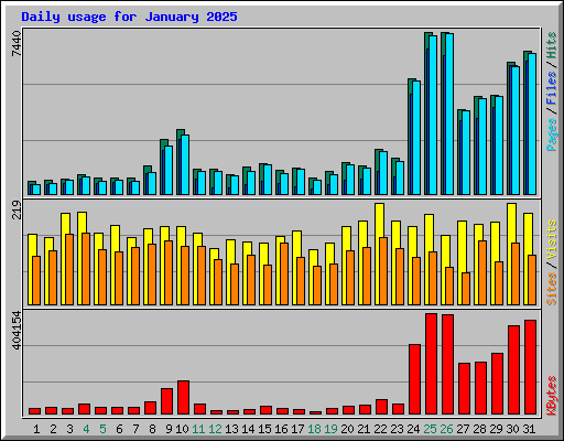 Daily usage for January 2025