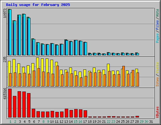 Daily usage for February 2025