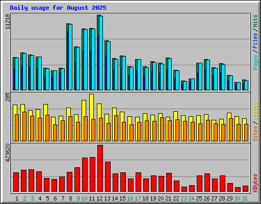 Daily usage for August 2025