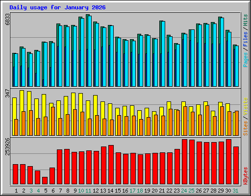 Daily usage for January 2026