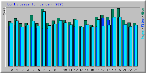 Hourly usage for January 2023