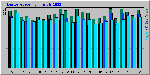 Hourly usage for March 2023