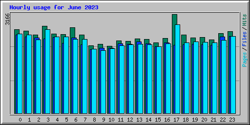 Hourly usage for June 2023