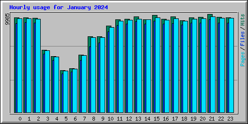 Hourly usage for January 2024
