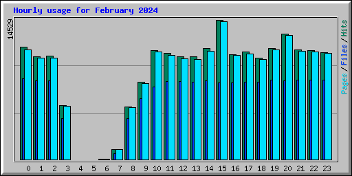 Hourly usage for February 2024