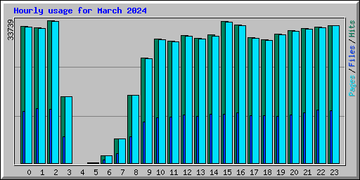 Hourly usage for March 2024