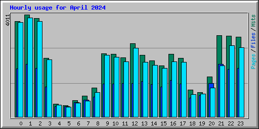 Hourly usage for April 2024