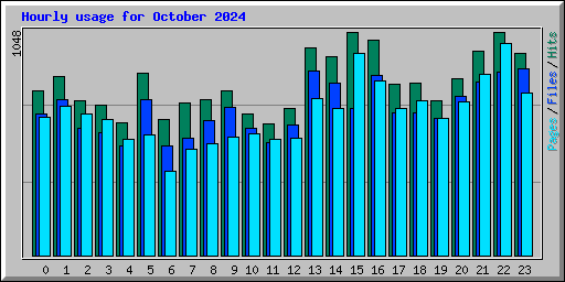 Hourly usage for October 2024