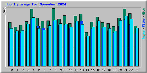 Hourly usage for November 2024
