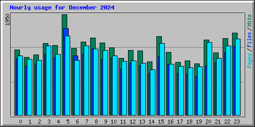 Hourly usage for December 2024