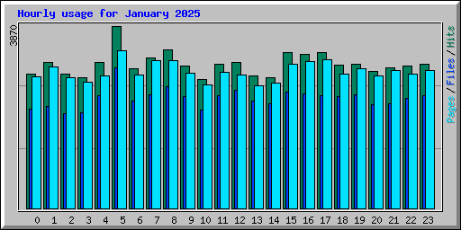 Hourly usage for January 2025