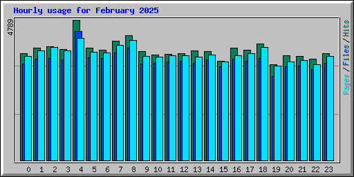 Hourly usage for February 2025