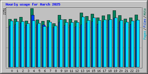 Hourly usage for March 2025