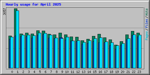 Hourly usage for April 2025
