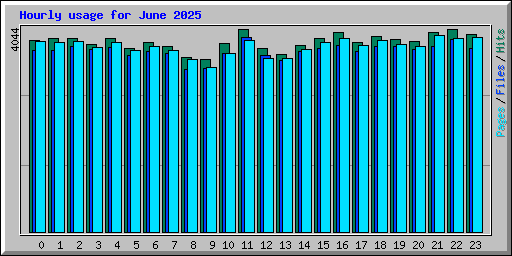 Hourly usage for June 2025