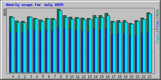 Hourly usage for July 2025