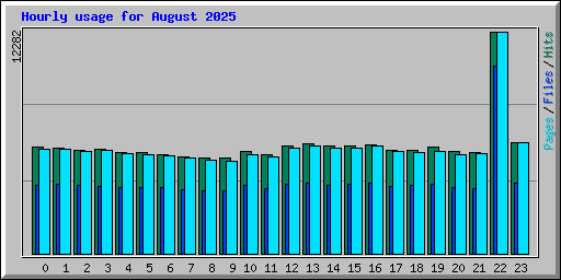 Hourly usage for August 2025
