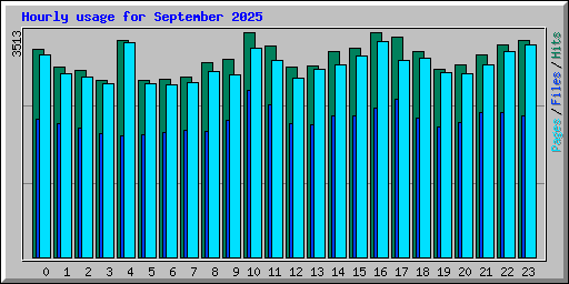 Hourly usage for September 2025