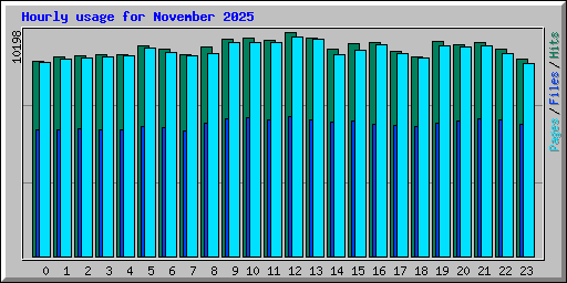 Hourly usage for November 2025
