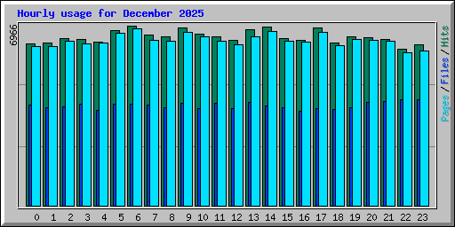 Hourly usage for December 2025