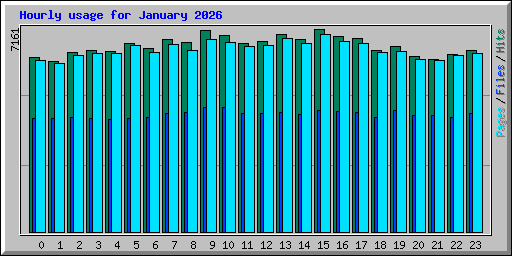 Hourly usage for January 2026
