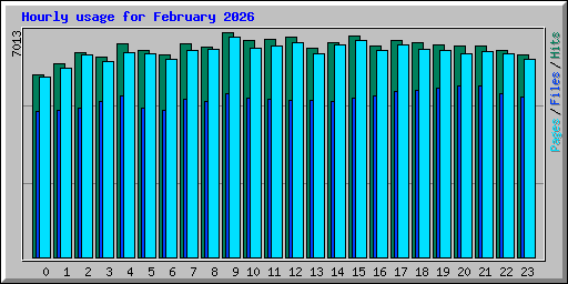 Hourly usage for February 2026
